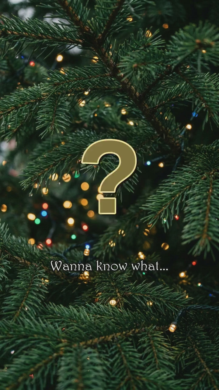 I Want a Hippopotamus for Christmas Interactive Musical Ornament Video Demo