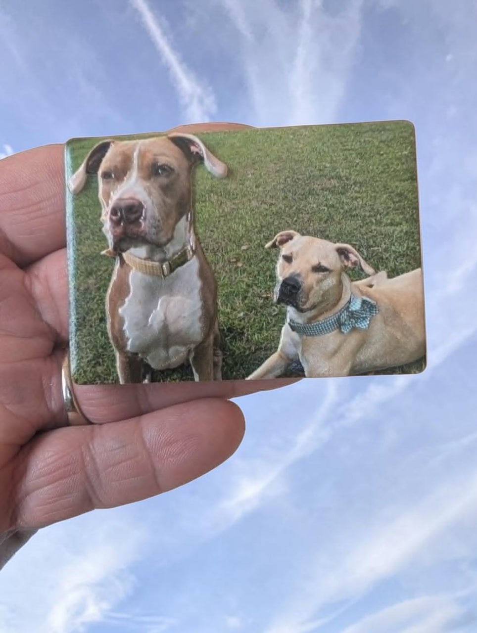 Custom UV Printed Ceramic Magnet — 50x70mm